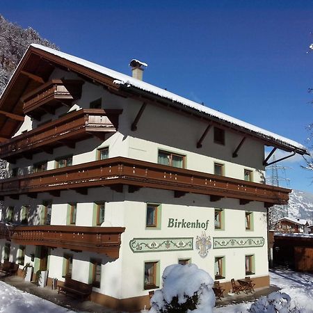 Pension Birkenhof Mayrhofen Eksteriør bilde