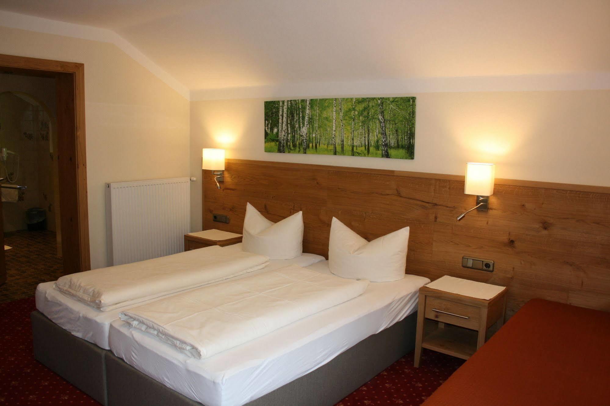 Pension Birkenhof Mayrhofen Eksteriør bilde