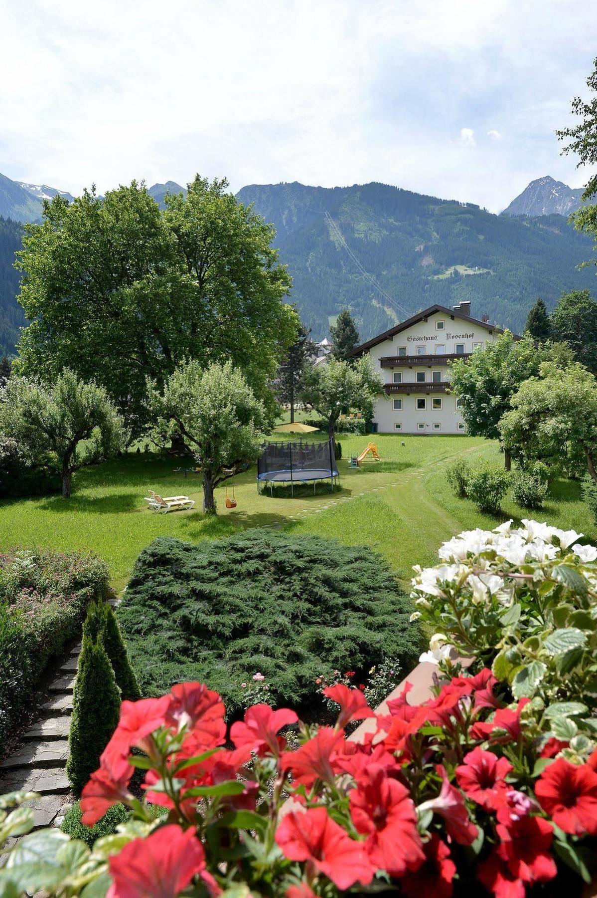Pension Birkenhof Mayrhofen Eksteriør bilde